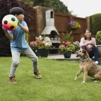 little boy playing with his dog in the backyard