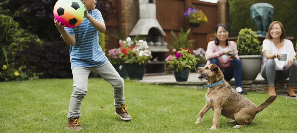 little boy playing with his dog in the backyard