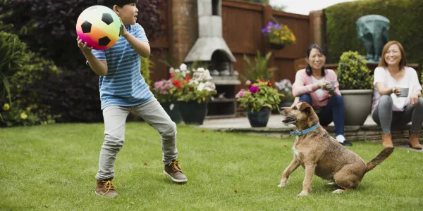 little boy playing with his dog in the backyard